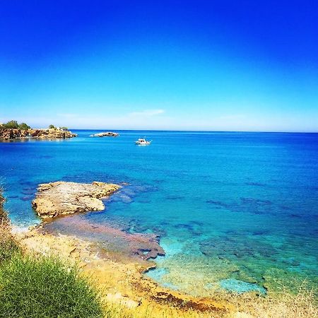Home Hotel (Adults Only) Hersonissos  Zewnętrze zdjęcie