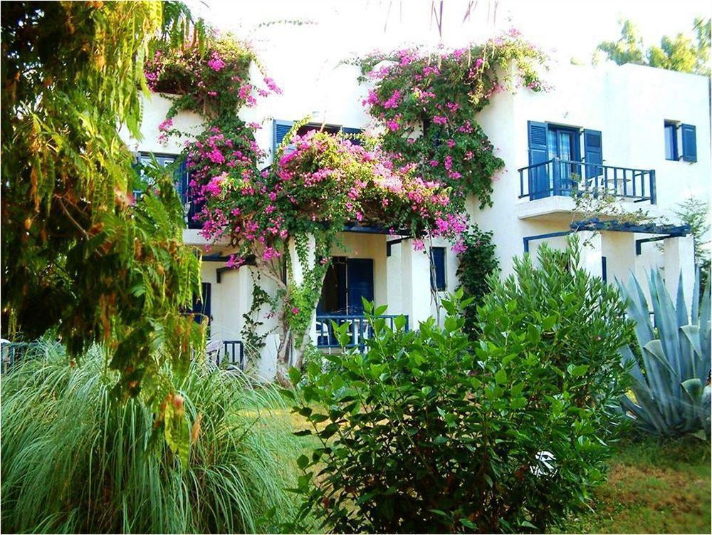 Home Hotel (Adults Only) Hersonissos  Zewnętrze zdjęcie
