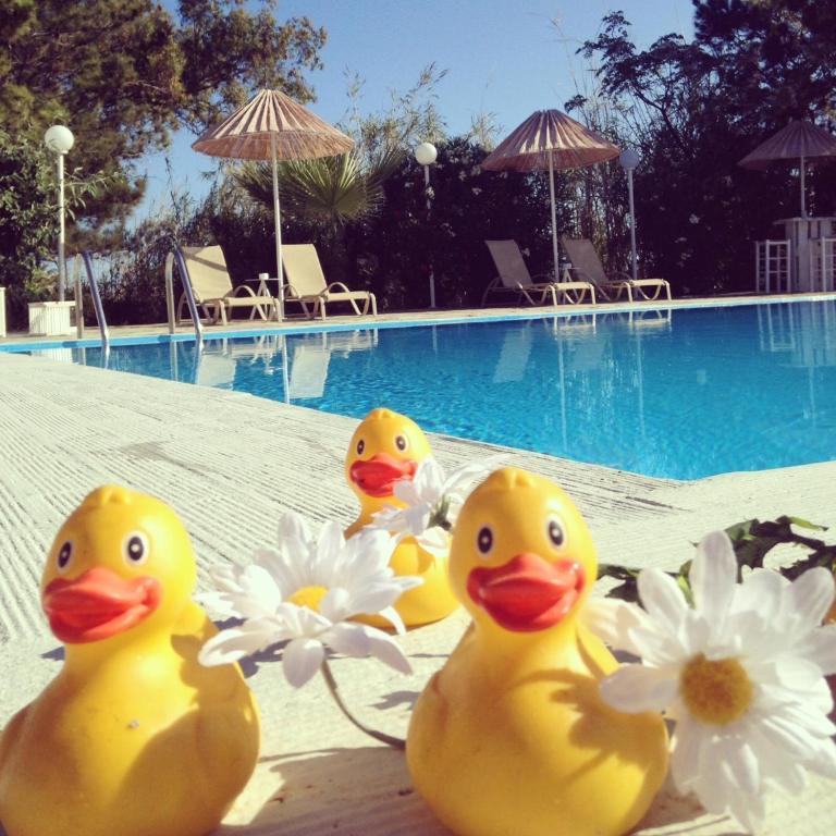 Home Hotel (Adults Only) Hersonissos  Pokój zdjęcie