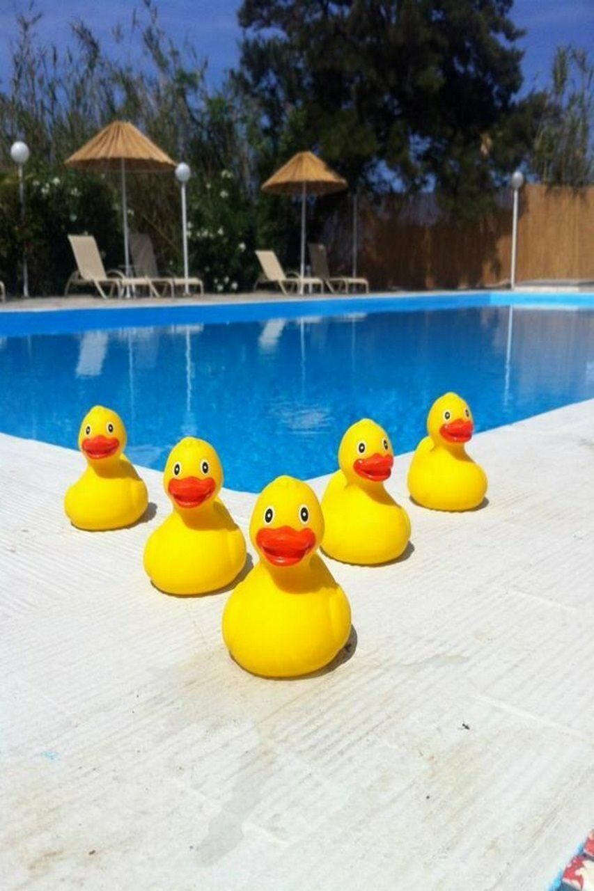 Home Hotel (Adults Only) Hersonissos  Zewnętrze zdjęcie